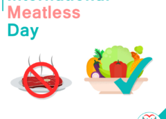 International Meatless Day