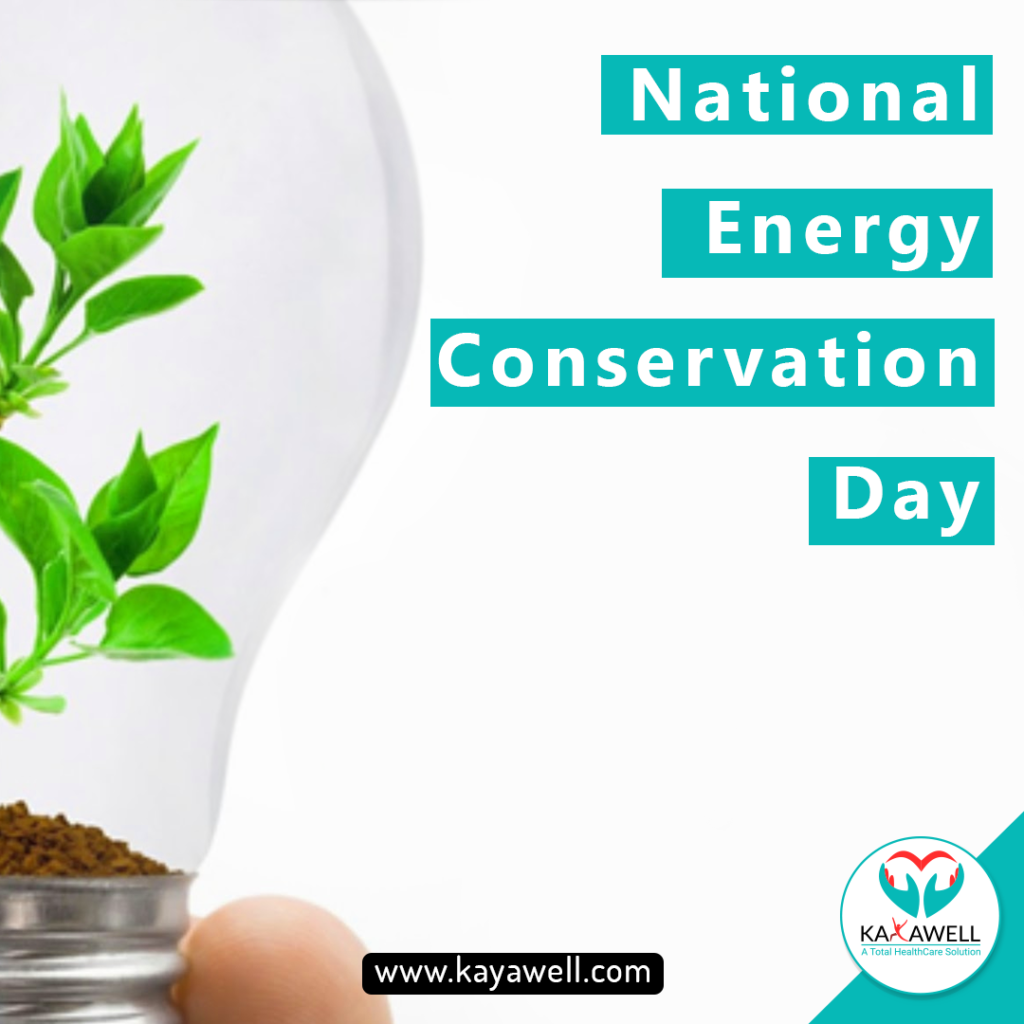 National Energy Conservation Day Kayawell