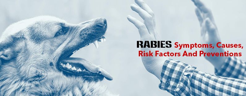 Rabies--Symptoms,-Causes,-Risk-Factors-And-Preventions