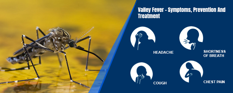 Valley Fever – Symptoms, Prevention And Treatment