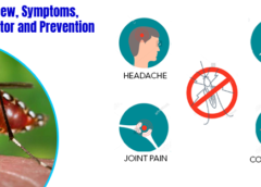 Zika virus-overview, Symptoms, Causes, Risk Factor and Prevention