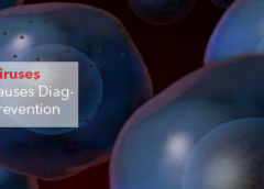 Adenoviruses-Symptoms, Causes Diagnosis and Prevention