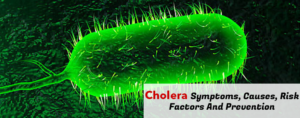 Cholera- Symptoms, Causes, Risk Factors And Prevention