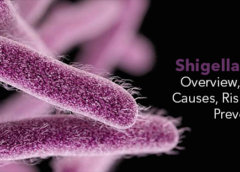 Shigella Infection- Symptoms, Causes, Risk Factors and Prevention