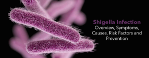 Shigella Infection- Overview, Symptoms, Causes, Risk Factors and Prevention
