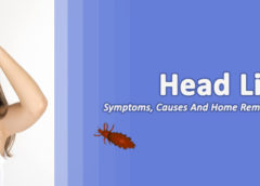 Head Lice- Symptoms, Causes and Home Remedies of Preventing