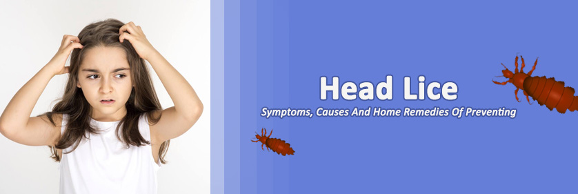 Head-Lice--Symptoms,-Causes-And-Home-Remedies-Of-Preventing