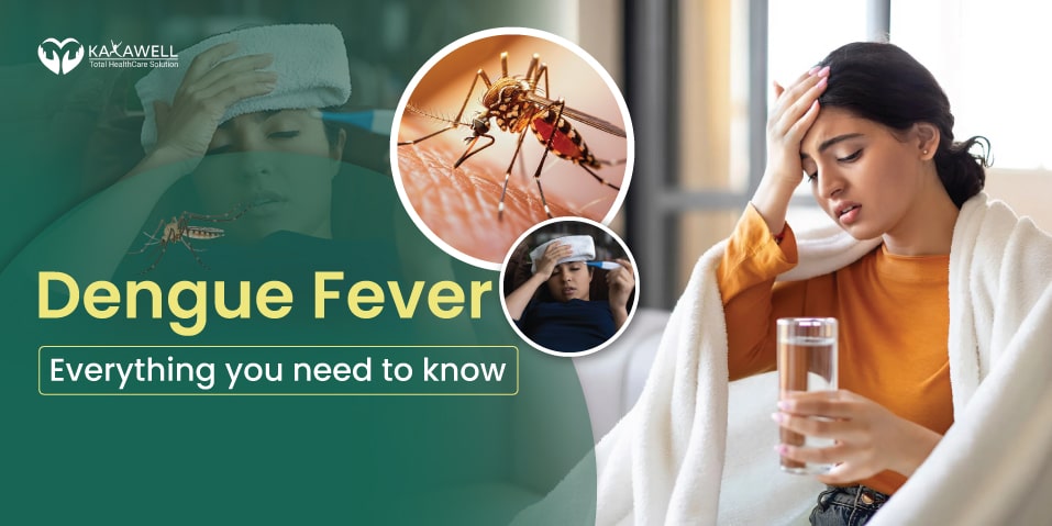 Dengue Fever: Everything you need to know