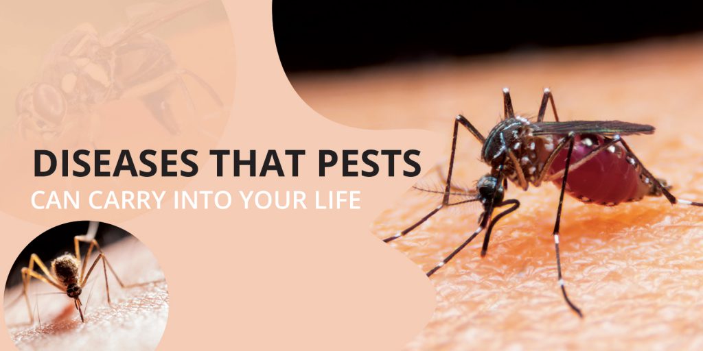 Pest related health hazards
