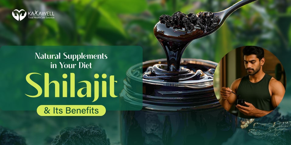 Natural Supplements in Your Diet: Shilajit and Its Benefits