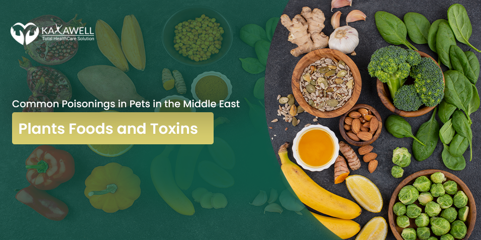 Common Poisonings in Pets in the Middle East Plants Foods and Toxins